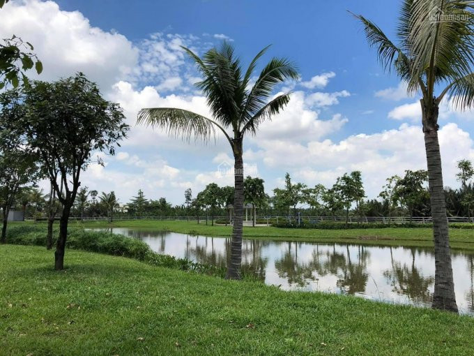 Chính Chủ Cho Thuê Nhanh Park Riverside, Nội Thất Cơ Bản , 3pn 4wc, Tiện ở Hoặc Làm Văn Phòng 10 Triệu/tháng 2