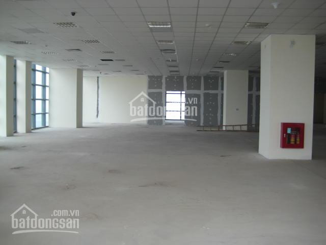 Chính Chủ Cho Thuê Nhanh Văn Phòng Phố Nguyễn Chí Thanh, Qba đình 60m2, 100m2, 350m2, 700m2, Giá 160 Nghìn/m2/th 2