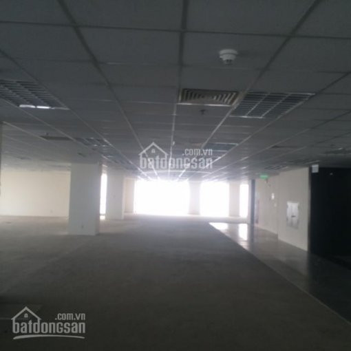 Chính Chủ Cho Thuê Nhanh Văn Phòng Quận Ba đình, Phố Cửa Bắc, 70m2, 140m2, 280m2, 700m2, Giá 160 Nghìn/m2/tháng 4