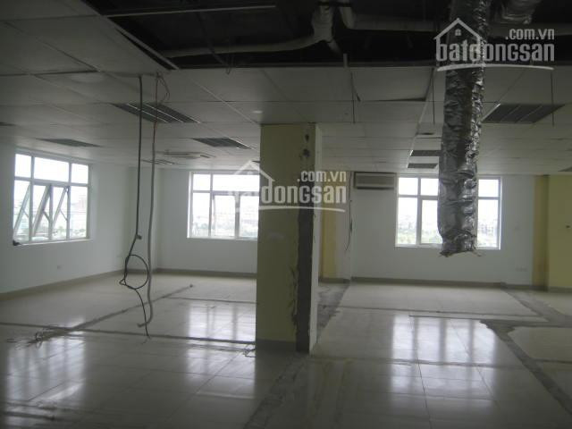 Chính Chủ Cho Thuê Nhanh Vp Quận Cầu Giấy, Phố Nguyễn Phong Sắc 40m2, 70m2, 250m2, 700m2, Giá 140 Nghìn/m2/tháng 3