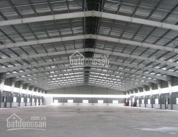 Chính Chủ Cho Thuê Nhanh Xưởng ở Ba La, Hà đông, 5000m2, Giá 250 Tr/ Tháng 2