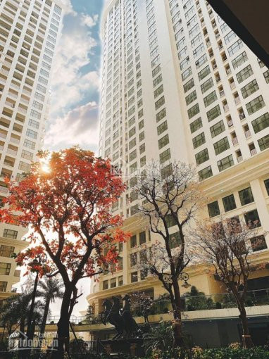 Chính Sách Hấp Dẫn Dành Riêng Cho Tòa G3, Quà Tặng Và Triết Khấu Cao Tại Sunshine Garden 2