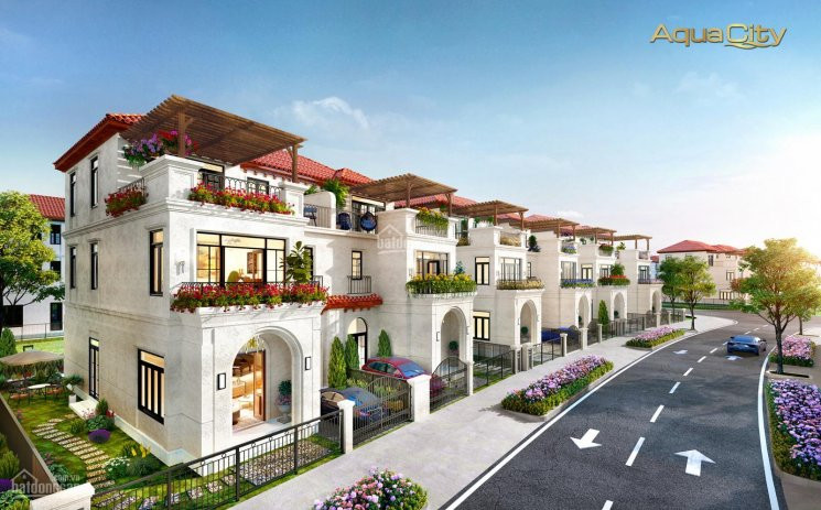 Chuyên Mua Bán Chuyển Nhượng Nhà Phố, Biệt Thự, Shophouse Giá Tốt 53 Tỷ, Aqua City 1