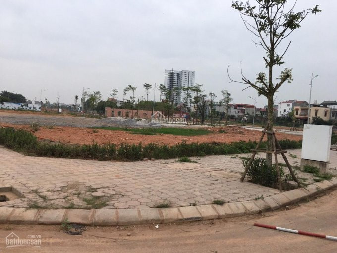 đất 1,3xx Tỷ Khu đô Thị Bách Việt, Bắc Giang 3