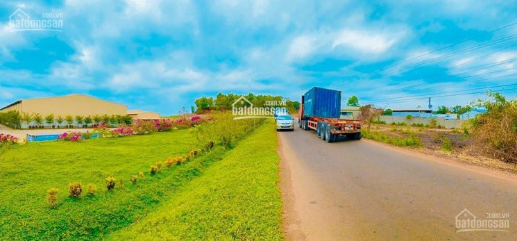 đất Long Thành - đất Sào - đất Mẫu Phù Hợp Làm Nhà Vườn, Kho Xưởng, Nhà Trọ, Kd Dịch Vụ 2