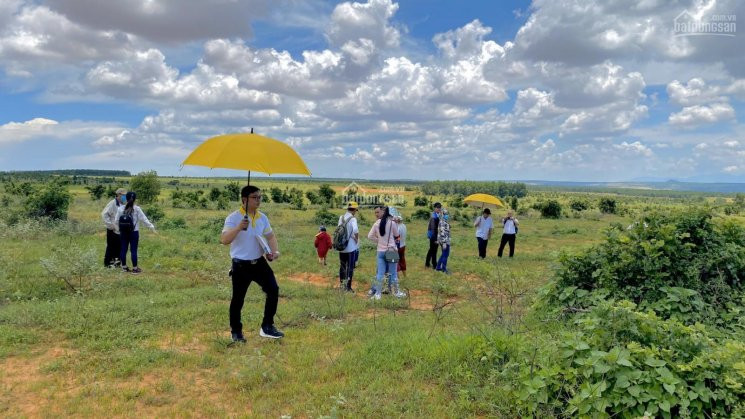 đất Nông Nghiệp Ven Biển Bình Thuận Giá Rẻ đón đầu Cao Tốc Và Sân Bay Phan Thiết 0933 565 223 2