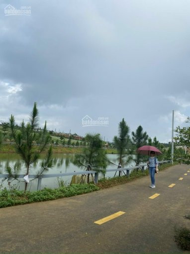 đất  Xây Nhà Nghĩ Dưỡng , Sổ Sẵn Thổ Cư, Có Khí Hậu Mát Mẻ Quanh Năm Không Thua đà Lạt, Có Suối 3