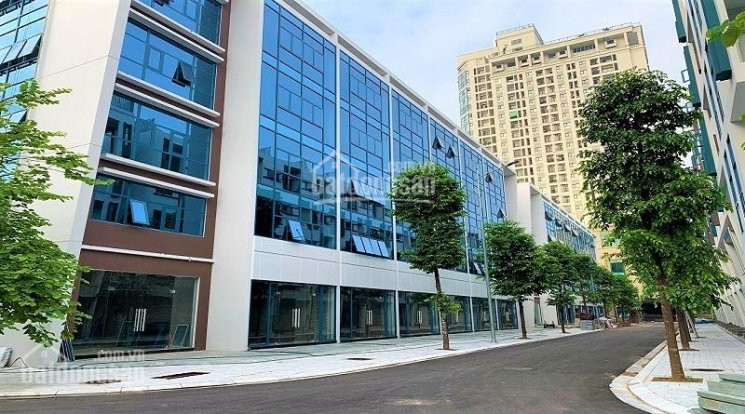 Duy Nhất Lô Shophouse Ngân Hà Vạn Phúc Ngay Cạnh Chung Cư Roman Plaza Tiện Kinh Doanh Buôn Bán 2