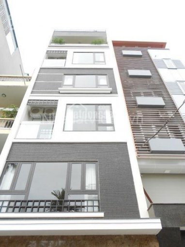 Duy Nhất Nhà Mặt Phố  Xã đàn, đoạn đẹp Nhất Phố Vip, Dt 120m, Xây 6 Tầng, Mt 5m  Giá  Chào  49 Tỷ 1