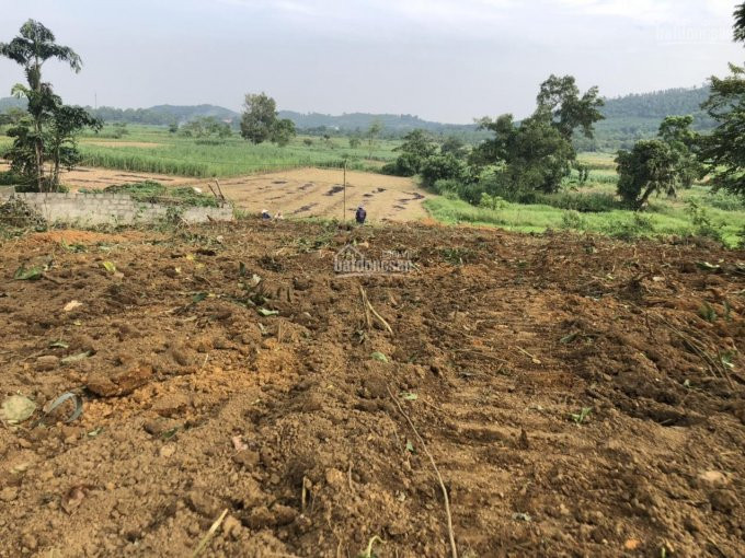 Gia đình Cần Bán Lô đất Tại Vân Hòa, Yên Bài (view Cánh đồng, Lưng Tựa Núi Ba Vì) Lh: 0966212115 2