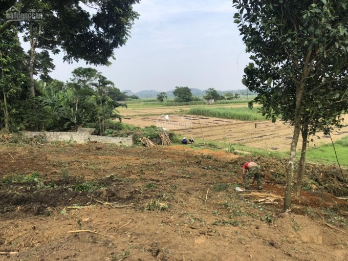 Gia đình Cần Bán Lô đất Tại Vân Hòa, Yên Bài (view Cánh đồng, Lưng Tựa Núi Ba Vì) Lh: 0966212115 4