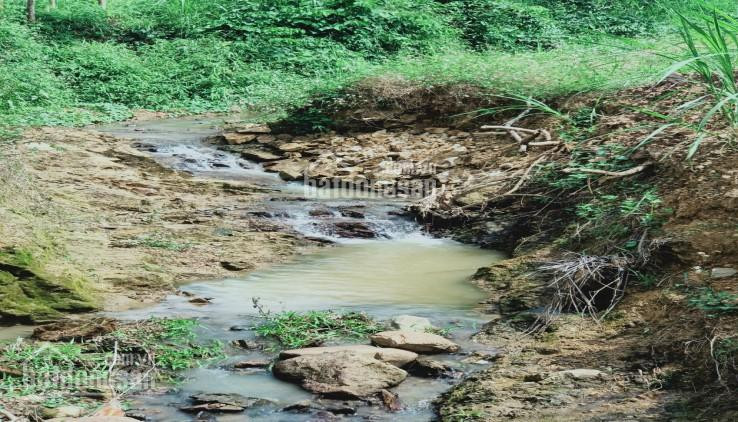 Hàng Hiếm, Cần Bán Lô đất Suối Khoáng Nóng Tại Kim Bôi, Cách Ql 12b Chỉ 100m 3