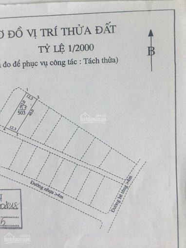 Kd Thua Lỗ Bán Gấp 503m2 Gần Tiểu Học Tóc Tiên, Sổ Hồng Riêng, Công Chứng Ngay 2