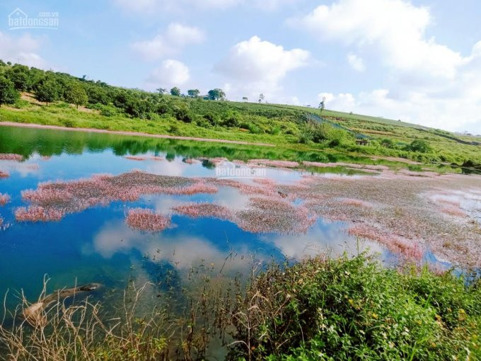 Khai Trương Lô đất Nền View Cực đẹp Giá đầu Tư Tại Khu đất Vàng Dambri - Bảo Lộc 1