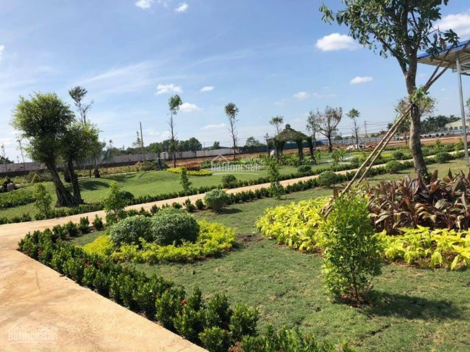Khu đô Thị Tm - Dv Tây Hoà Airport 4