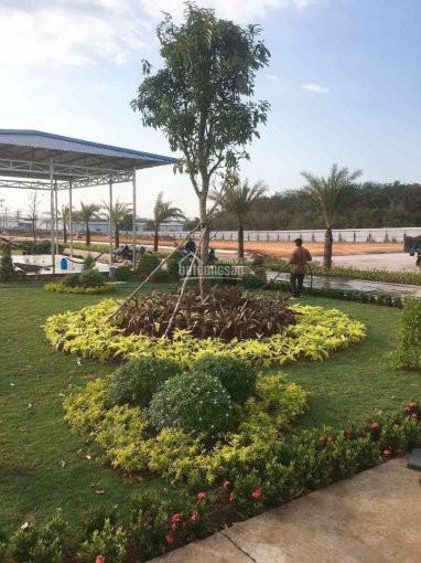 Khu đô Thị Tm - Dv Tây Hoà Airport 5