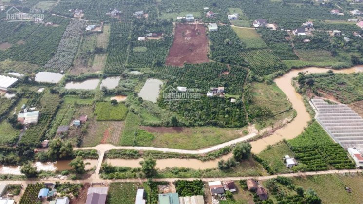 Khu Nhà Compound Gồm 12 Nhà, Dt 400-800m2/nền Giá Chỉ 13-16tr/m2, Vị Trí đồi View đà Lạt-lâm Hà 5