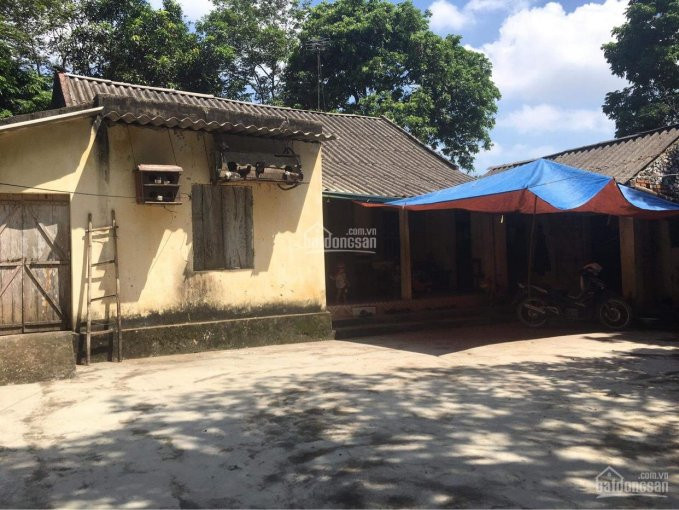 Lô đất Qua đẹp Tại Lương Sơn Hòa Bình Nghỉ Dưỡng Nhà Vườn Homestay View Núi Và Cánh Lúa Với Giá Rẻ 4