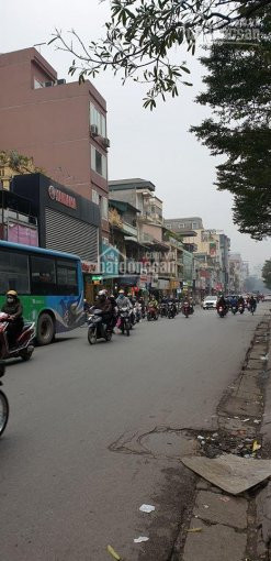 Mặt Phố Trung Tâm Quận đống đa - Khu Vực Kinh Doanh Sầm Uất - Cực Hiếm Nhà Bán - Giá Yêu Thương 3