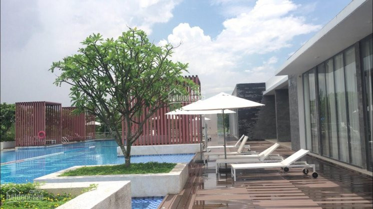 Nhà Phố Park Riverside 5*15m, Giá đang Tốt Nhất 5,850 Tỷ, Lh 0989545291 2