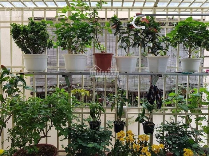 Nhà Phố Trần Duy Hưng - Dt40mx4t - Nội Thất Tiền Tỷ - Lô Góc, ô Tô - 20m Ra Mặt Phố 1