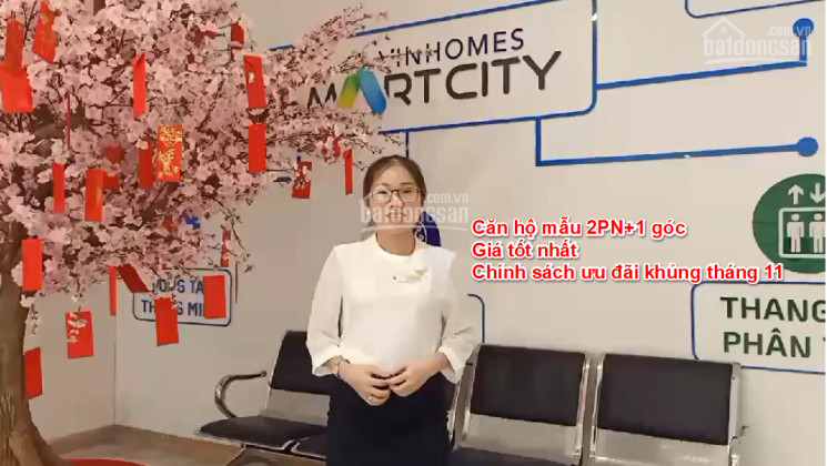 Pkd: 0928508689 Quỹ Căn 1pn+1, 2pn+1 Giá Tốt Nhất Trực Tiếp Cđt+cs Khủng+quà Tặng - Vh Smart City 1