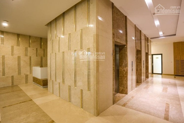 Suất Nội Bộ Penthouse The Golden Star Quận 7, Ngay Phú Mỹ Hưng, Dt 200m2 Có Sân Vườn - 0935883848 4