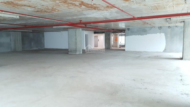 Tôi Cần Cho Thuê Vp Tm 69 Vũ Trọng Phụng Tầng 2 + 3 150m - 1500m2, Kd Spa, Gym, Yoga 0934406986 5