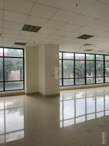 Trực Tiếp Chủ đầu Tư Gp Invest Cho Thuê 76-500m2 Văn Phòng Nam đô Complex 609 Trương định 185nghìn 5