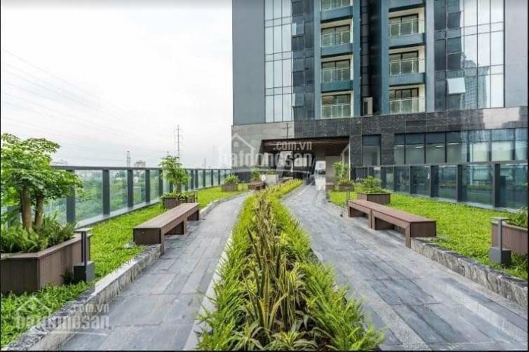 View Sân Goft, Sunshine City, Căn 3pn Tòa S5, Hướng đông Nam, Giá 42 Tỷ, Ký Trực Tiếp Cđt 7