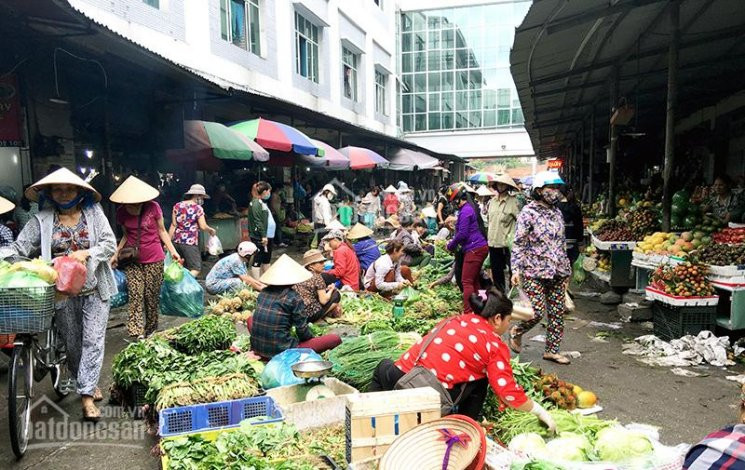 Vợ Chồng Tôi Mới Cưới Cần Bán Mảnh đất Thổ Cư (300m2) Mà Ba Mẹ Cho để Khởi Nghiệp Kinh Doanh 2