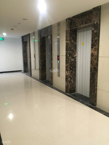 Vp, Officetel The Sun Avenue 30-100m2, Có Phòng Gđ, được đkkd, Hầm Xe - Miễn Cước Cuộc Gọi 7