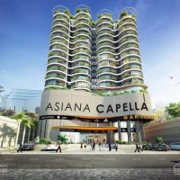 Asiana Capella Q6 Bán Nhiều Căn Hộ Giá Rẻ - đang Góp, Nhận Nhà đón Tết 2021- 0938295519- Từ 205 Tỷ