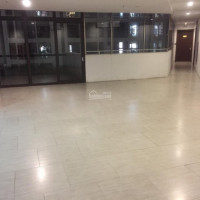 Căn Hộ 70m2 Dolphin Plaza, Giá 2 Tỷ Tròn, Ban Công Chính Nam, Cửa Chính Bắc, Tầng 18 Cực đẹp