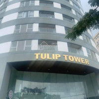 Căn Hộ Office Tel Tulip Tower Quận 7 Thiết Kế 2pn Giá Chỉ Từ 25tr/m2 Lh 076 675 4578 Quỳnh Châu