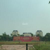 Chính Chủ Bán Nhanh đất Nền Ceo Mê Linh Hana Garden City, Mê Linh, Hà Nội