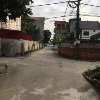 Chính Chủ Cần Bán 48,7m2 0905878668, Nguyên Khê, đông Anh, Hà Nội Khu Phân Lô ô Tô Vào Tận Nhà