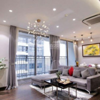 Chính Chủ Cần Bán Căn Hộ 119m2 -3pn  Toà Vip Park 11 - Park Hill Premium, Giá Chỉ  55tỷ, Bao Phí Sang Tên