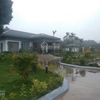 Chính Chủ Cần Bán Khuôn Viên Biệt Thự Nhà Vườn Bậc Nhất Tại Xã Cư Yên, Lương Sơn, Hb