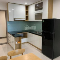 Chính Chủ Cho Thuê Gấp Vinhomes Grand Park Studio 1pn Dt 33m Giá Duy Nhất 01 Căn 3 Tr/tháng