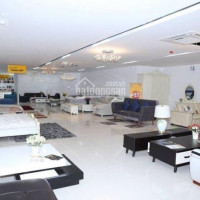 Chính Chủ Cho Thuê Nhanh Nhà Lớn Suốt 1200m2 Làm Showroom Mặt Tiền đường  Quang Trung, Phường 10, Q Gò Vấp