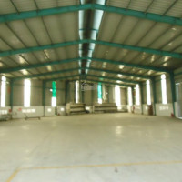 Chính Chủ Cho Thuê Nhanh Xưởng 3000m2, 5000m2 Trong Kcn Tam Phước, Long Thành, đồng Nai