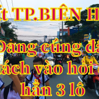 đất Trung Tâm Tp Biên Hòa, Sổ đỏ Full Thổ, Giá 2,4 Tỷ/93m2 Kinh Doanh Tốt, Chính Chủ