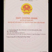 Giá Nền Yêu Thương Cho Các Nhà Bất đọng Sản đón Tếtchính Chủ Có Sổ