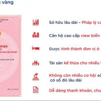 Giỏ Hàng độc Quyền Quỹ Căn đẹp The Ruby Hạ Long Căn Hộ Sổ Hồng, 100% View Biển, Giá Từ 880tr/căn