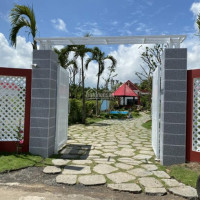 Nhà đất Vườn Thổ Cư Có Nhà Sẵn đất đỏ, Gần Biển Hồ Tràm, Biển Phước Hải