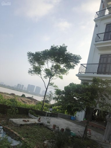 100m2 Hải Bối View Sông Hồng Giá Chỉ 2x/m2 0362608492 4