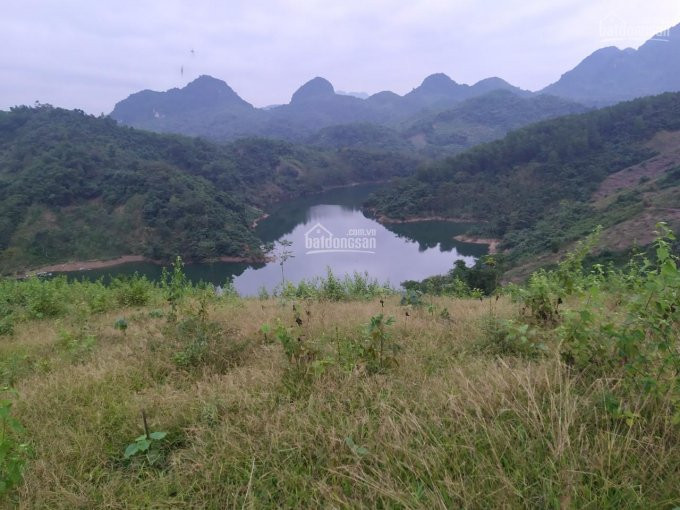 10ha Bám Hồ, View Tuyệt đỉnh Tại Thung Nai, Cao Phong, Hòa Bình 2