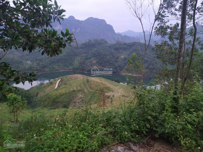 10ha Bám Hồ, View Tuyệt đỉnh Tại Thung Nai, Cao Phong, Hòa Bình 5