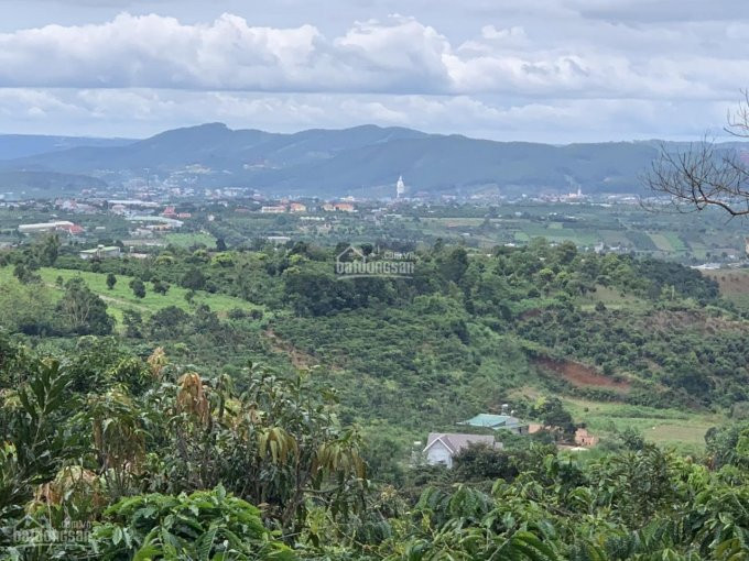 5232m2 đất đông Thanh, Lâm Hà, Lâm đồng, View Mẹ Quan âm Giá: 550tr/sào, Sổ Sẵn Công Chứng Ngay 1